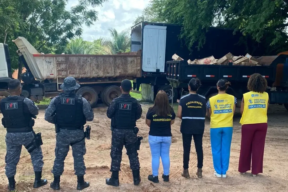 Carga de carne é apreendida em Timon após denúncias e descartada