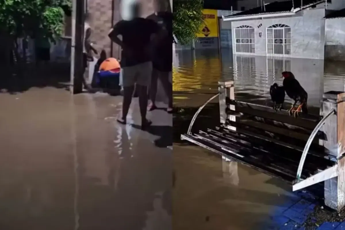 15 famílias ficam desabrigadas após fortes chuvas em Fronteiras