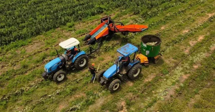 Crise no campo: agronegócio brasileiro registra recorde histórico de recuperações judiciais em 2025