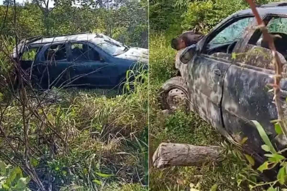 Motorista morre após capotar e ser arremessado para fora de carro entre Floriano e Itaueira; dois passageiros feridos