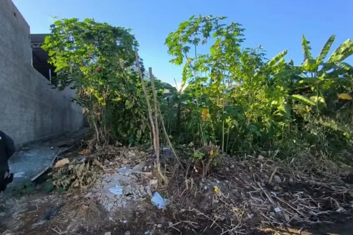 Homem é encontrado morto com marca de tiro na cabeça em terreno baldio de Floriano