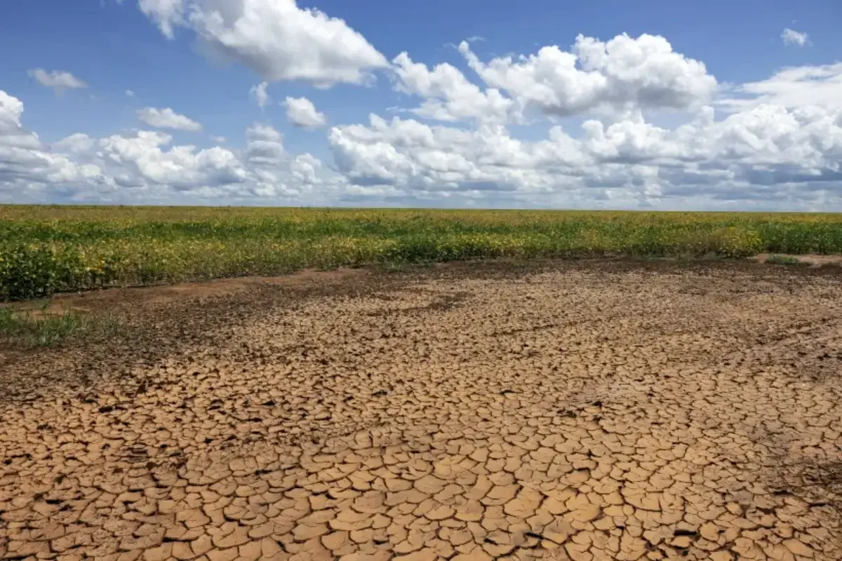 Governo Federal reconhece situação de emergência por estiagem em quatro municípios do Piauí