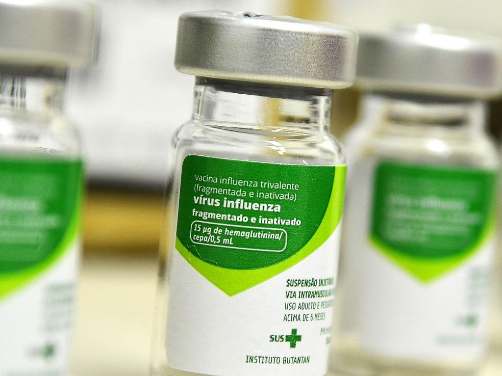 Piauí lidera vacinação contra a influenza no Brasil e alcança 49% de cobertura entre grupos prioritários