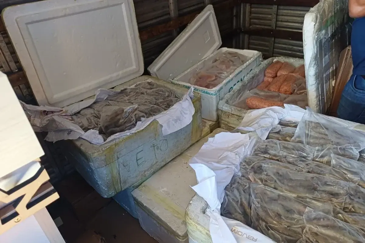 PRF apreende 650 kg de queijo e pescado transportados sem documentação na BR-343, em Parnaíba