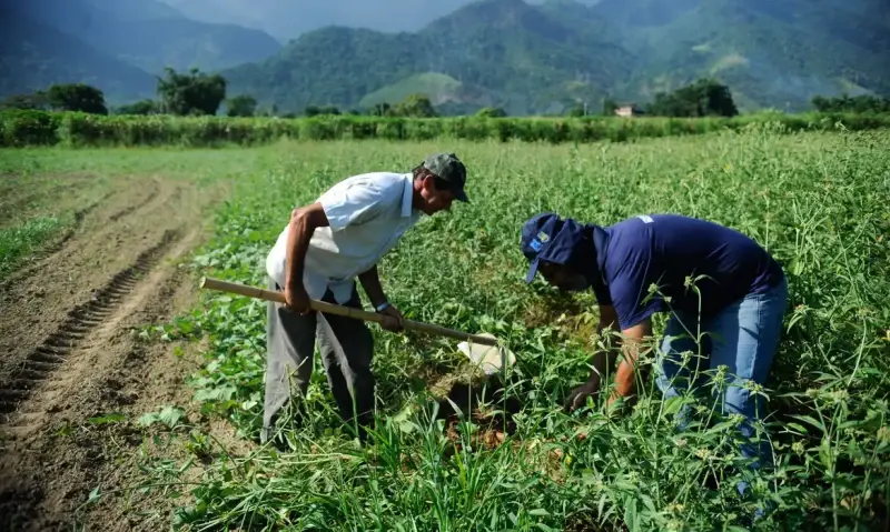 Governo cria linha especial de crédito para produtores rurais afetados por perdas causadas pelo clima