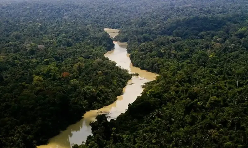 Piauí reduz desmatamento em 51,2% no Cerrado, mas permanece entre os estados com maior área sob alerta