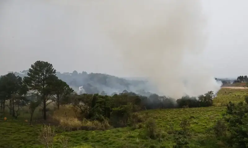 Piauí reduz em 68% área atingida por queimadas no primeiro semestre de 2026