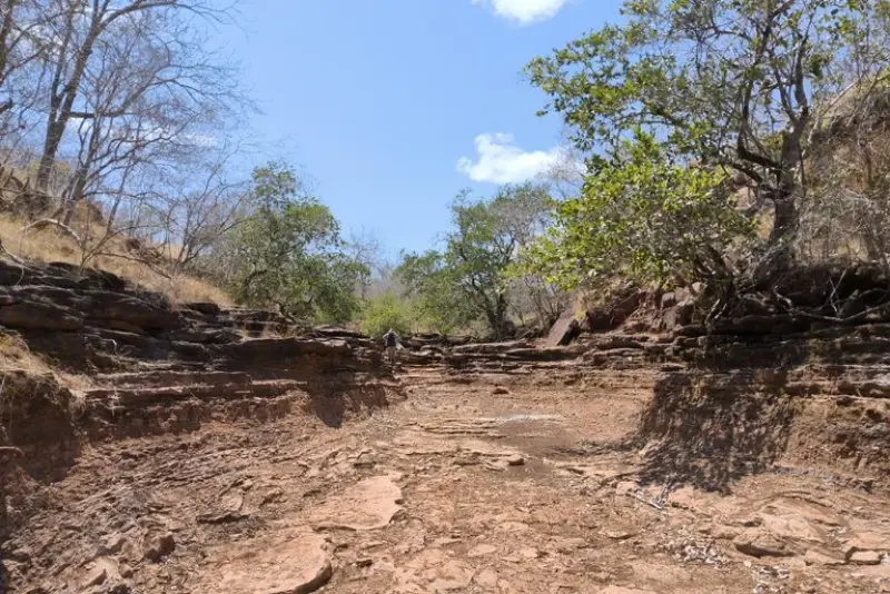 Piauí registra 81 processos para exploração de terras raras em área de 130 mil hectares