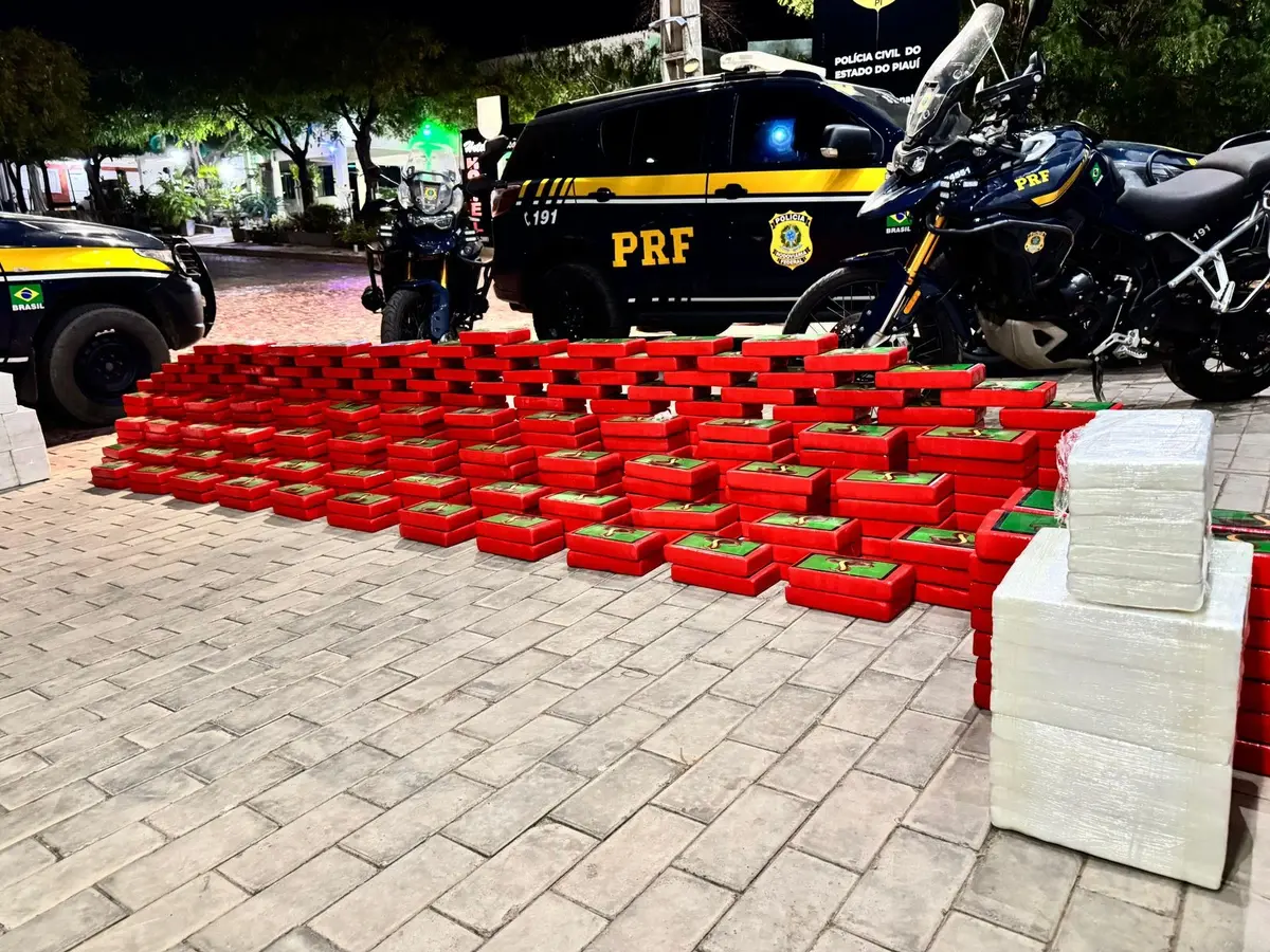 PRF apreende 490 kg de cocaína escondidos em caminhão na BR-135, no Piaui 