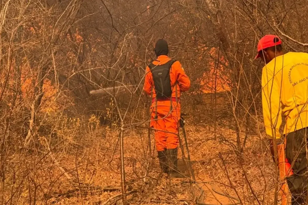 Incêndios atingem áreas de vegetação e mobilizam equipes há cinco dias em São João do Piauí