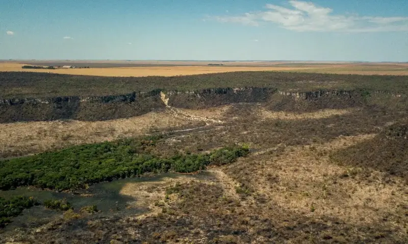 MPF pede adiamento de votação do zoneamento do Cerrado no Piauí; entenda