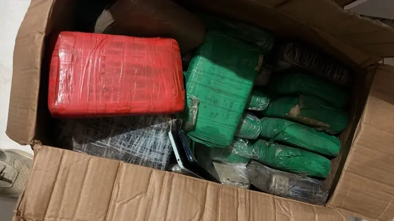Mulher é presa e mais de 20 tabletes de 'supermaconha' são apreendidos em estúdio de beleza em Teresina