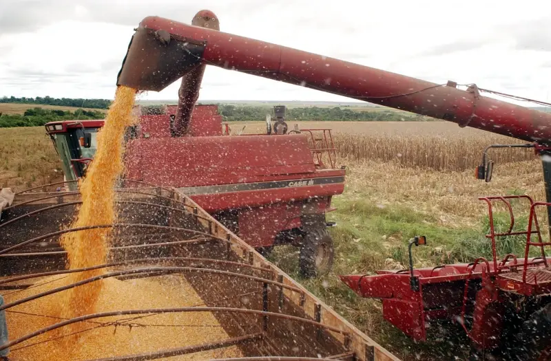 Nove municípios concentram 80% do valor da produção agrícola do Piauí em 2025, aponta IBGE