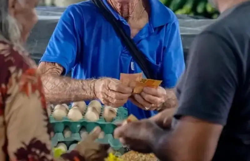 Piauí tem segunda menor proporção de autônomos com CNPJ do Nordeste