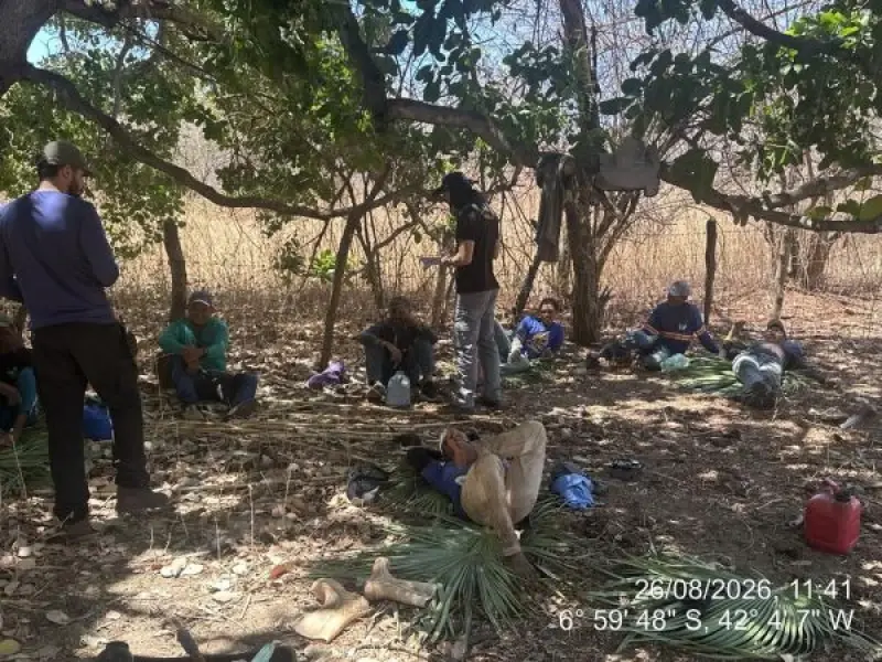 40 trabalhadores são resgatados em condições análogas à escravidão no interior do Piauí