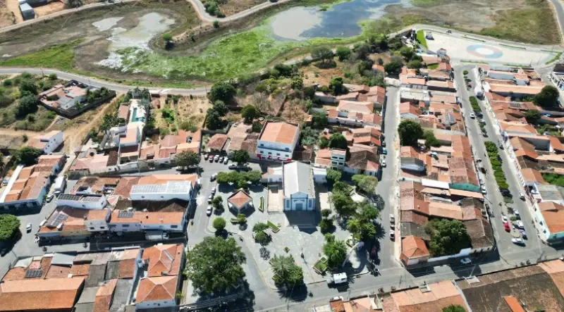 MP recomenda fiscalização contra criação clandestina de suínos em município no Piauí