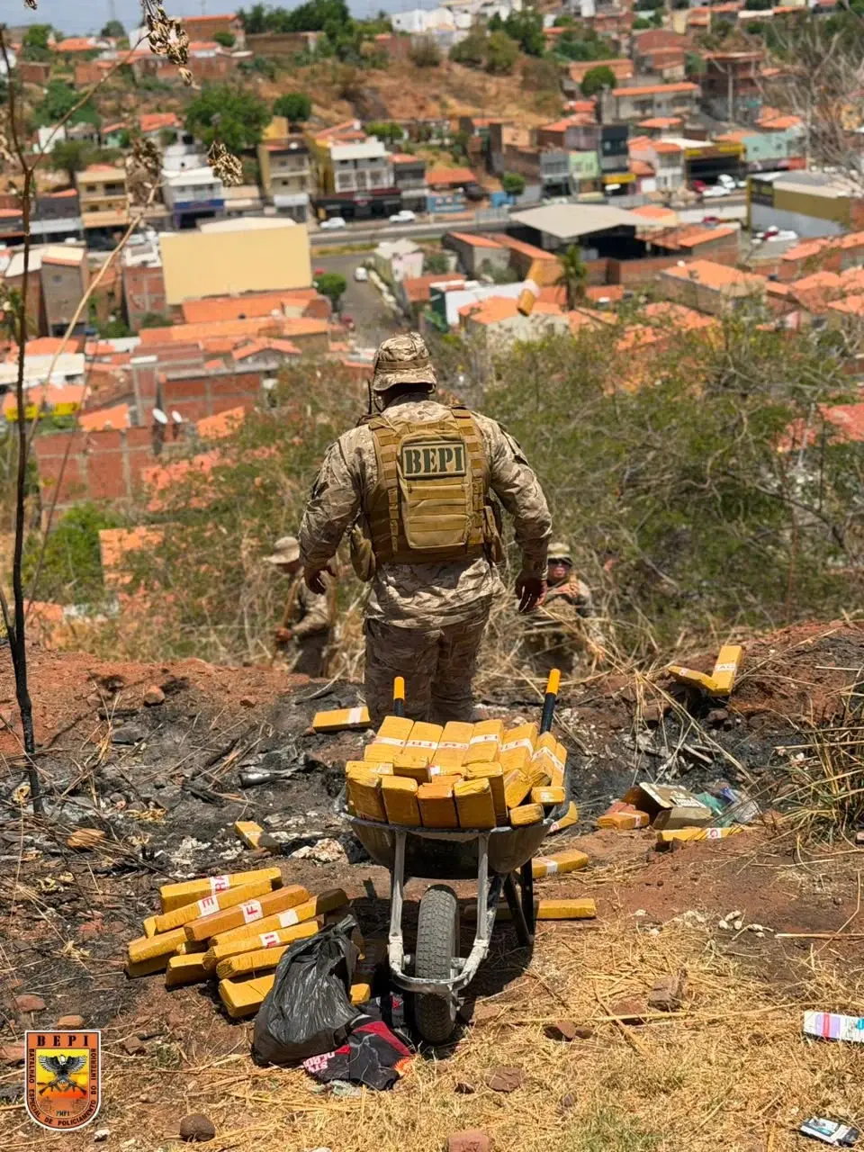 BEPI apreende cerca de 150 kg de maconha e outros entorpecentes em Picos
