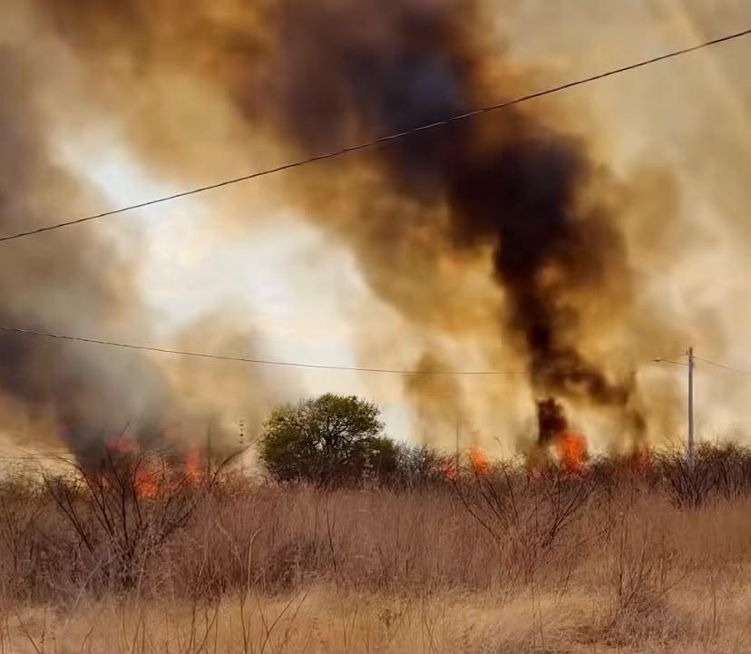 Incêndio atinge terreno próximo ao campus da UESPI em Picos