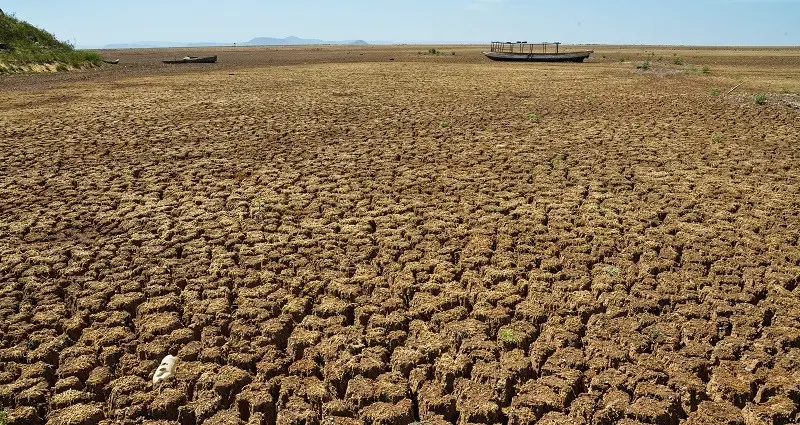Três cidades do PI têm situação de emergência reconhecida por conta da seca e estiagem