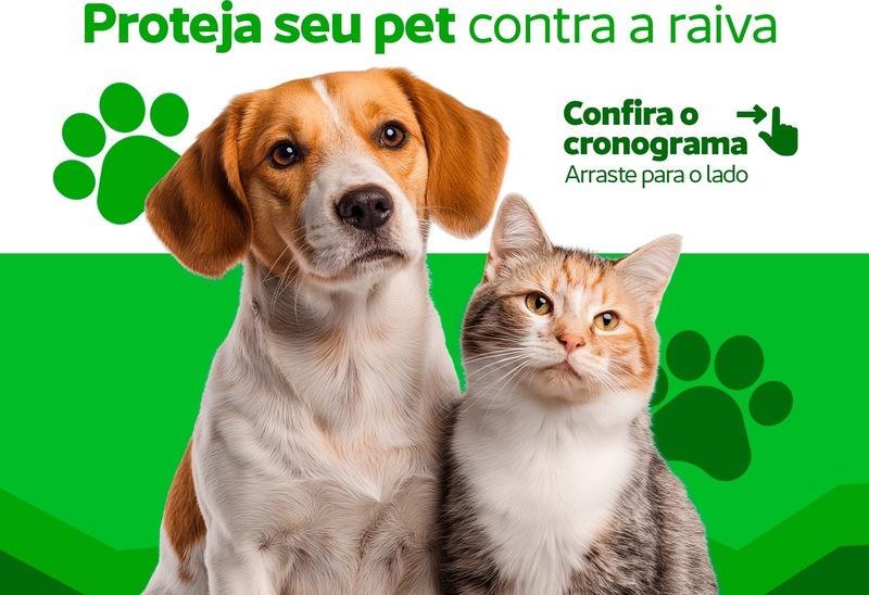 A iniciativa visa garantir a imunização dos animais domésticos e prevenir a circulação do vírus da raiva.