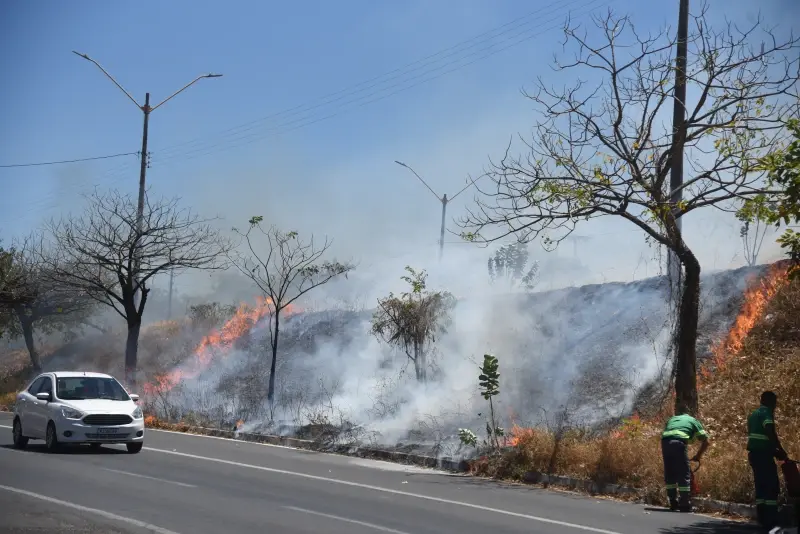 Piauí registra 171 focos de queimada em 48h; Teresina têm três incêndios de grandes proporções