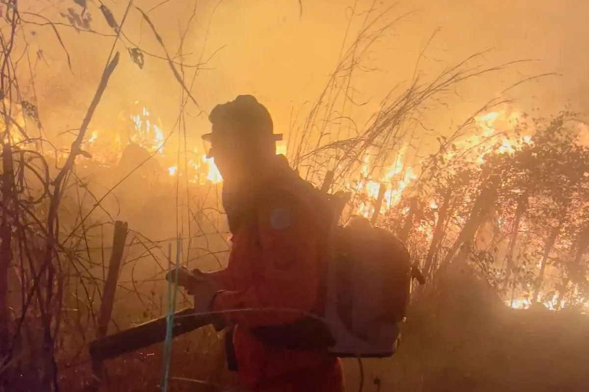 Semarh proíbe qualquer queimada até 30 de outubro para prevenir incêndios florestais em todo o Piauí