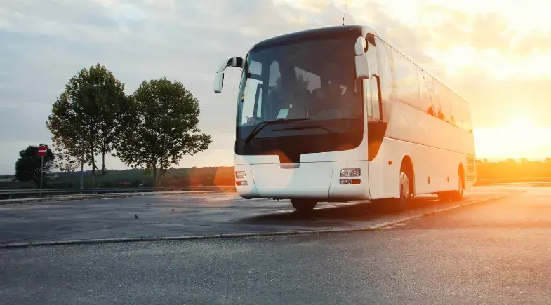 Eleitores devem apresentar documentos para transporte gratuito no segundo turno; veja quais