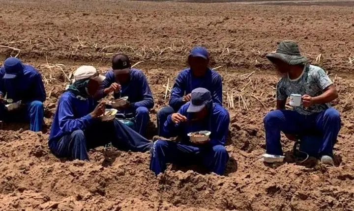 Ato em Teresina marca Dia Nacional de Combate ao Trabalho Escravo no Piauí