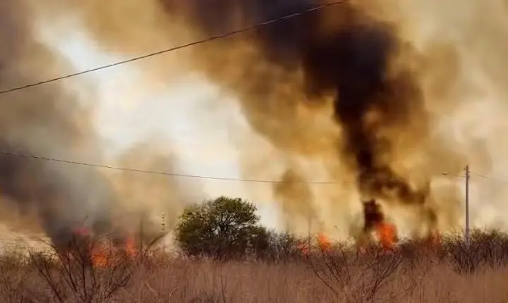 Incêndio atinge terreno próximo ao campus da UESPI em Picos
