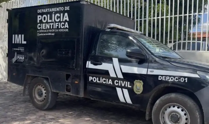 Motociclista morre após tentar desviar de animal na PI-258, no Norte do Piauí