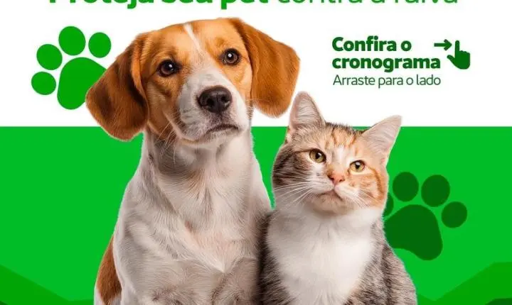 Prefeitura de Picos divulga cronograma da Campanha de Vacinação Antirrábica para cães e gatos nas zonas urbana e rural