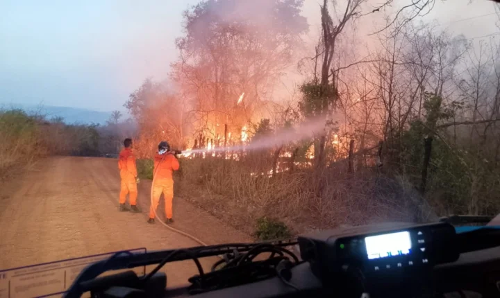 Semarh intensifica combate às queimadas, reduz quase 30% dos focos de incêndio e avança em políticas de adaptação climática