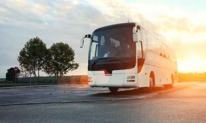 Transporte intermunicipal gratuito para eleitores no Piauí estará disponível de 0h de sexta (23) até 12h de segunda (26)