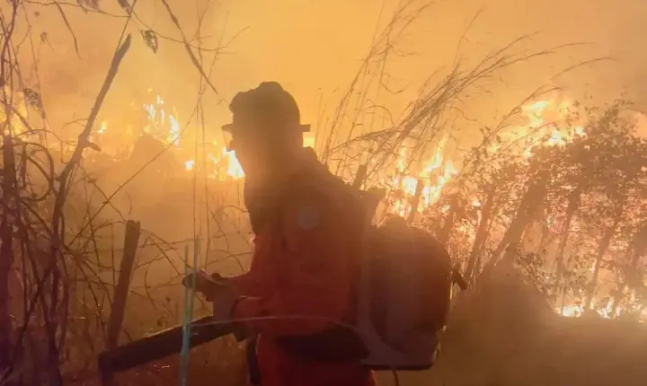 Semarh proíbe qualquer queimada até 30 de outubro para prevenir incêndios florestais em todo o Piauí