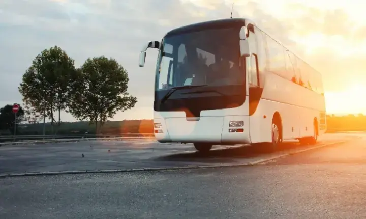 Eleitores devem apresentar documentos para transporte gratuito no segundo turno; veja quais