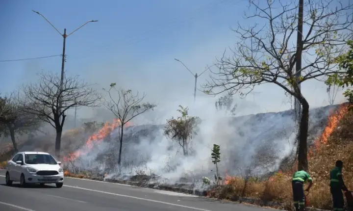 Piauí registra 171 focos de queimada em 48h; Teresina têm três incêndios de grandes proporções